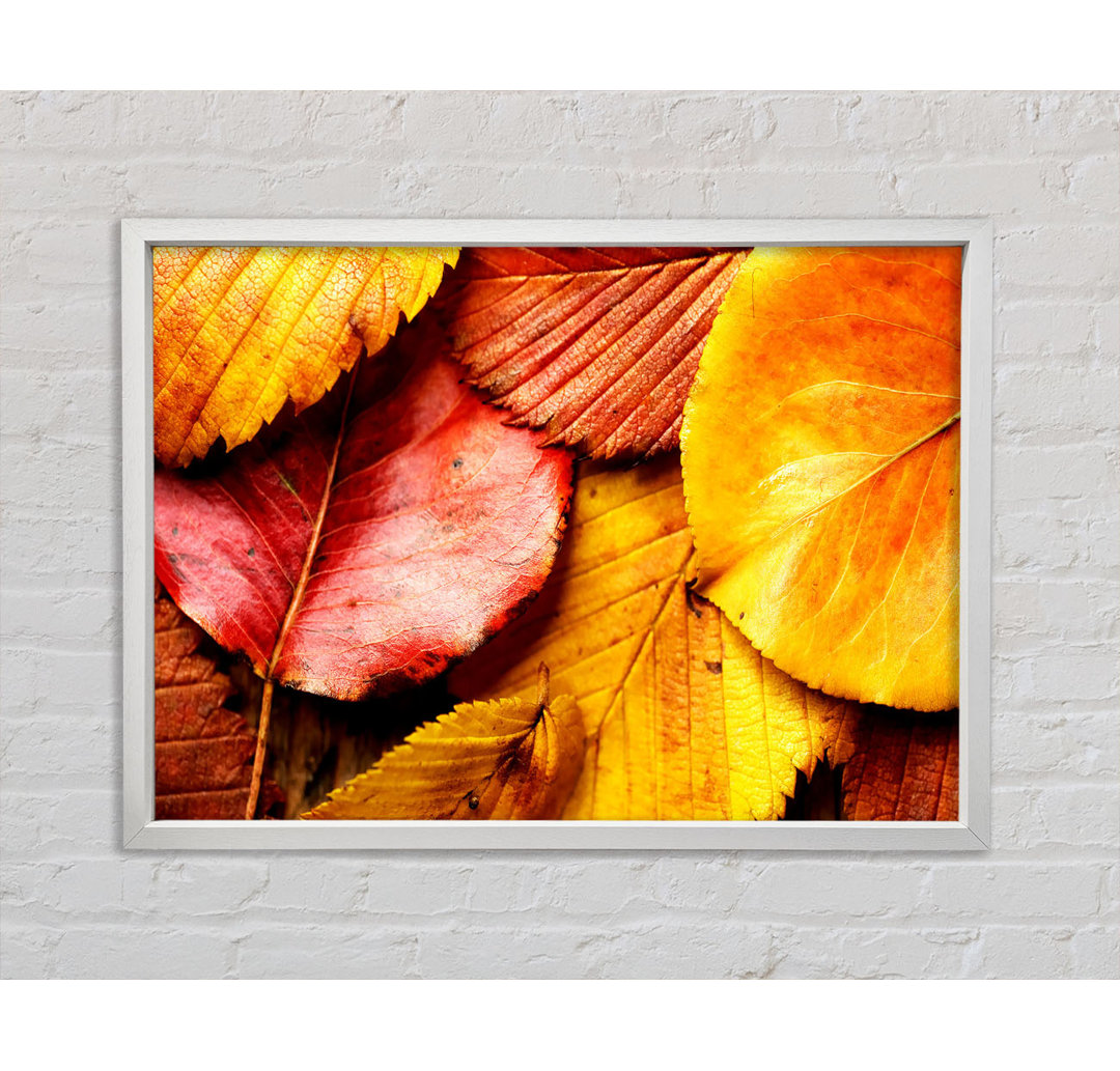 Beautiful Autumn Leaves - Einzelne Bilderrahmen Kunstdrucke auf Leinwand