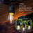 48FT 15-Bulb Plug-In Outdoor Standard LED String Light Shatterproof Weatherproof Linkable Warm White