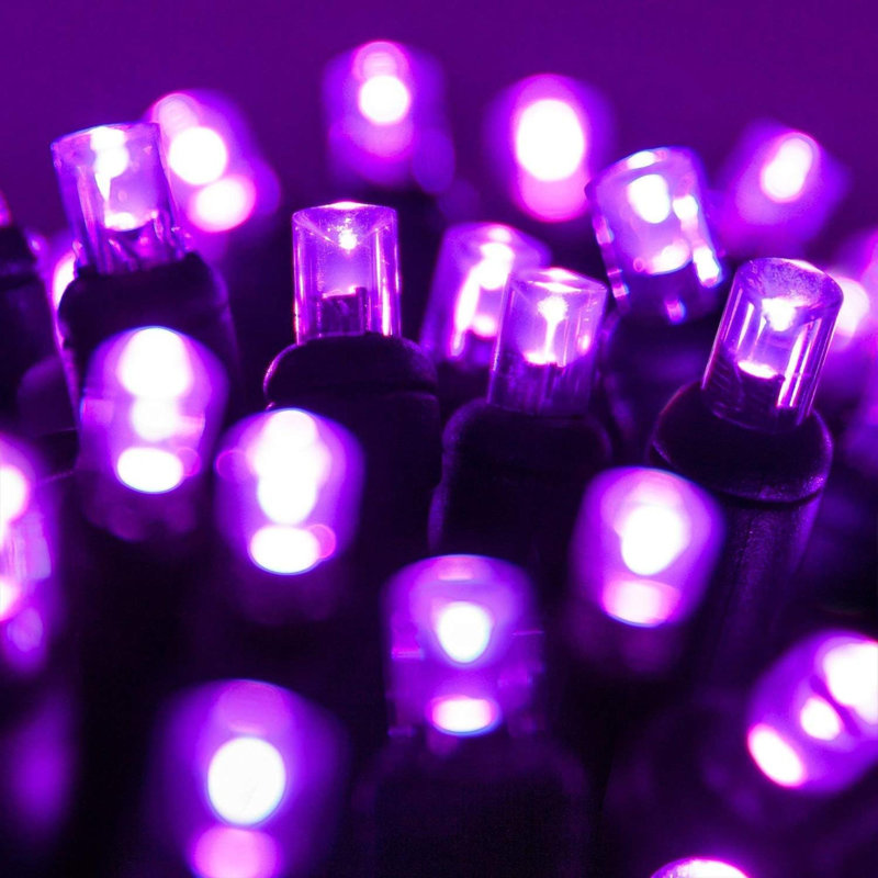 2'' String Lights, Purple