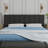 Avag Upholstered Panel Headboard-2048523636-2048523625