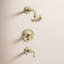 Purist® Rite-Tub and Shower Faucet-7354775-96140169