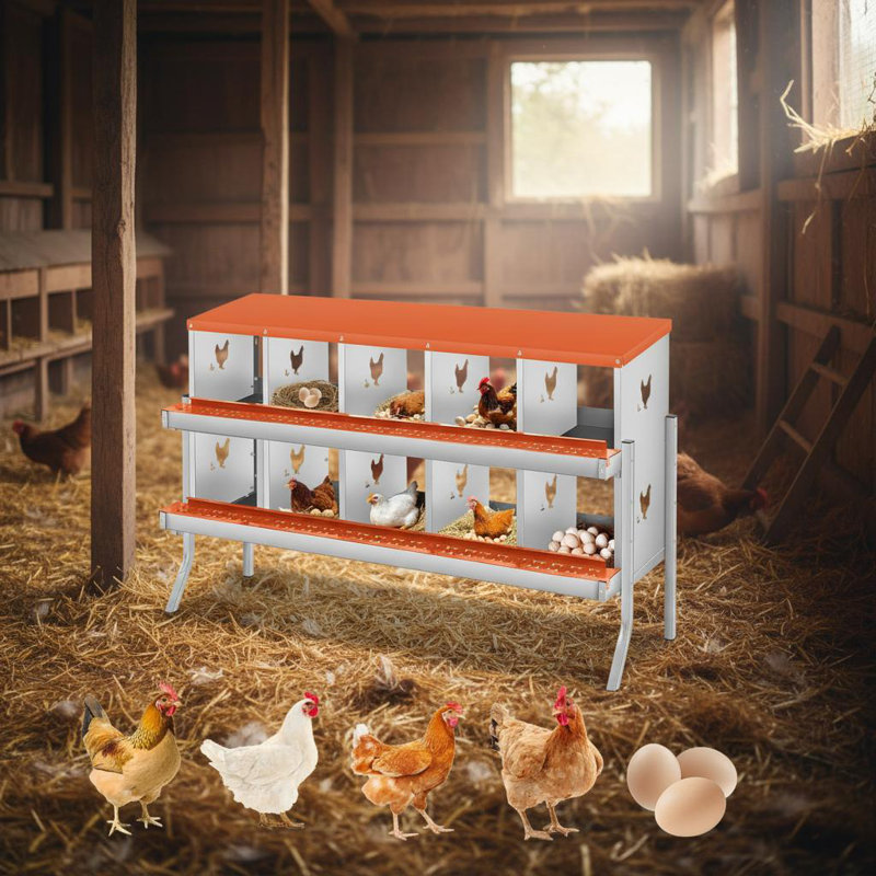 Boîtes de nidification en métal pour poules-10 boîtes de nidification pour poulets avec pattes de support pour œufs, boîtes de pondeuses murales pour poules et poulailler, orange