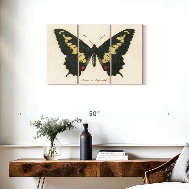 Brampt Natures Butterfly VI, H 20 po x l 33 po