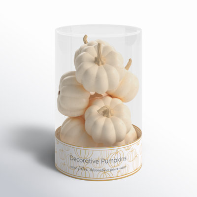 Boxed Fall Pumpkin Decorative Accent