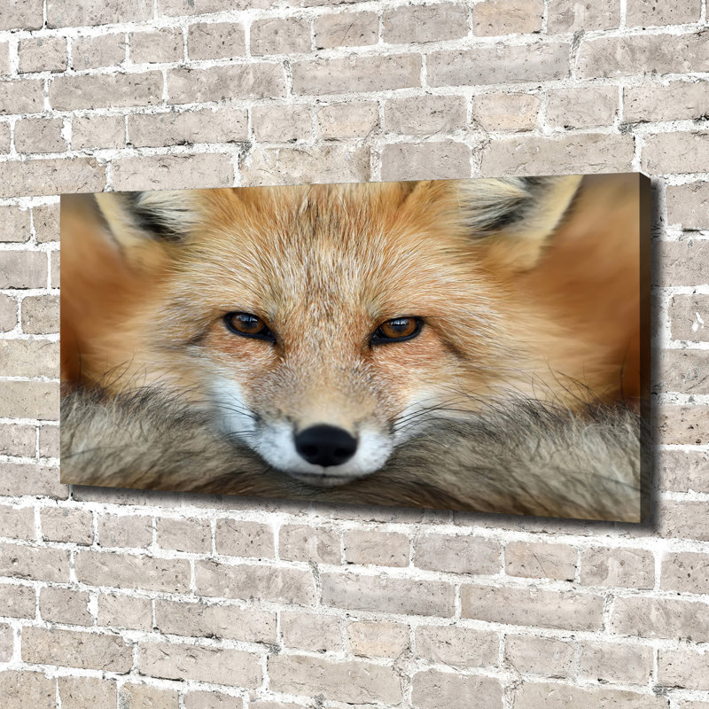 Fox - Wrapped Canvas Print, Canvas, 70cm H x 140cm W
