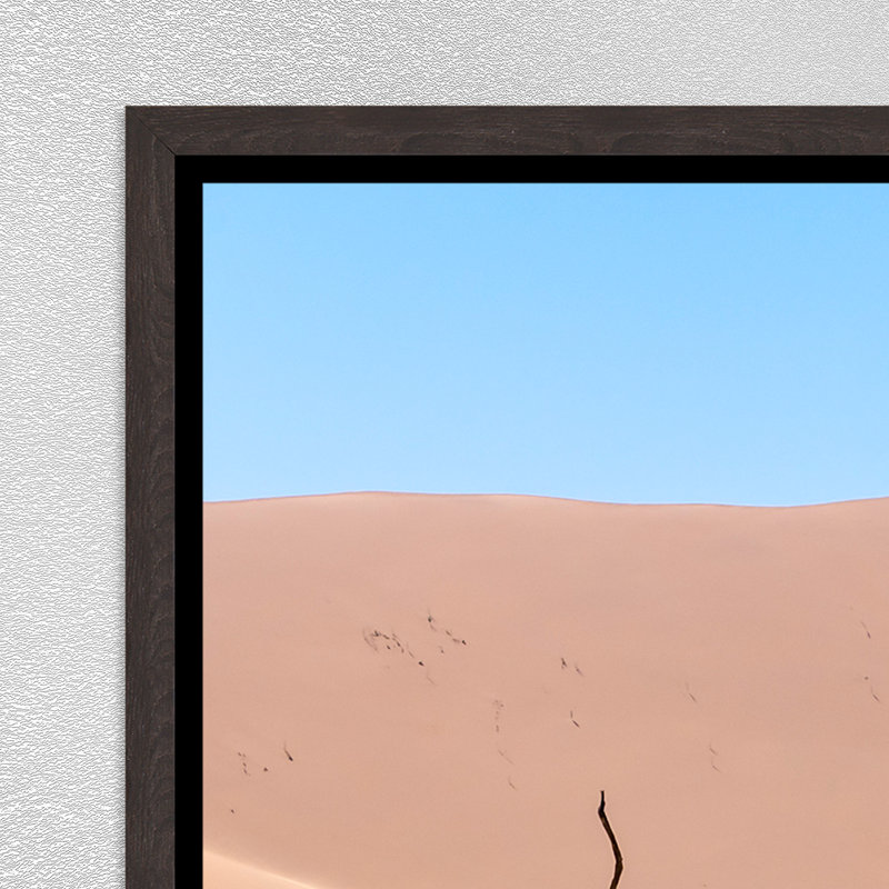 Namibian Skeleton Trees IX Print by Richard Silver, 37.75" H x 55.75" W, Image Brush Gel