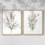 Reproduction encadrée Dicat Botanical I-Premium - prête à être accrochée - aucun clou requis - aucun clou requis-721347938-721347870