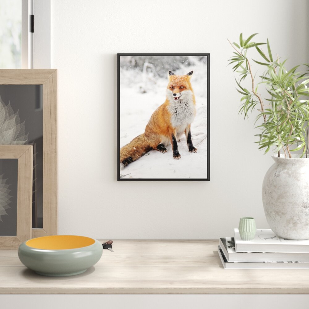 Gerahmtes Wandbild Snow Fox