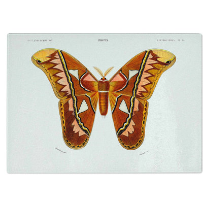Tempered Glass Attacus Atlas Moth Chopping Board