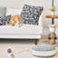 Pets Square Pillow Cover & Insert-796301982