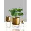 Grand pot à fleurs doré Soho avec support en métal amovible, pot de fleurs d'intérieur décoratif, support à pots de fleurs-2129800925