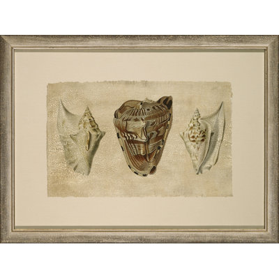 Crackled Triple Shell 3 Painting