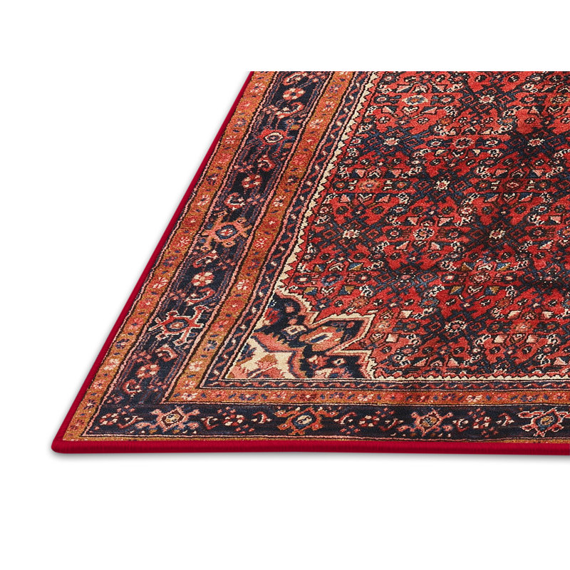 Tapis brun/rouge/beige traditionnel Corrstown, Rectangle 3 pi x 5 pi