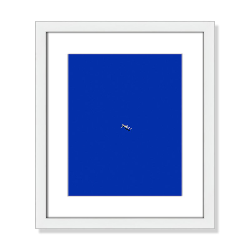 «No stress print» par Leon, Blanc satiné, Imprimé mat, L 13 po x H 15 po
