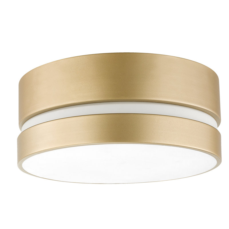 Minier Frosted Glass Flush Mount
