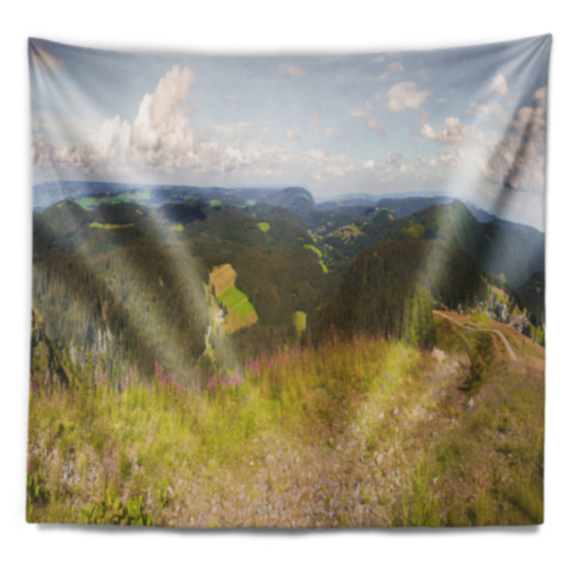 Tapisserie panorama landscape black forest germany, H 32 po x l 39 po