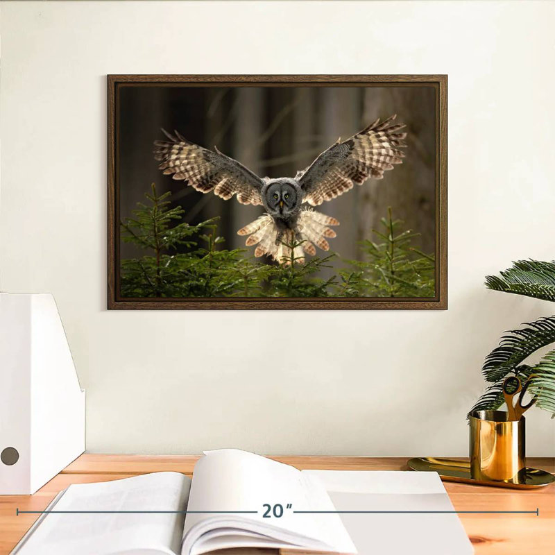 Hibou volant, 13 po x 9 po, Cadre flottant en noyer