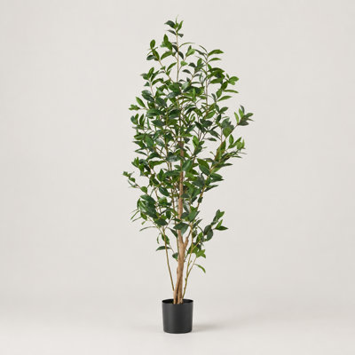 Grand laurier artificiel de 64 pouces avec branches flexibles en fer et base pré-mise en pot, verdure artificielle réaliste pour la maison et le bureau