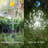 Solar Twinkle Luminary & Pathway Lights-68311264