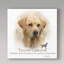 « yellow labrador », reproduction d’impression sur toile tendue-26856644