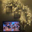Anjenette LED Lighted Trees & Branches