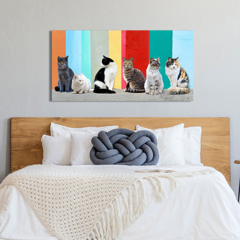 2AP6151 Cats In The Sun - Wrapped Canvas Art Prints, 50cm H x 100cm W x 4cm D