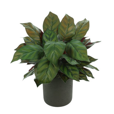 Plante artificielle à feuilles persistantes 14 po en pot