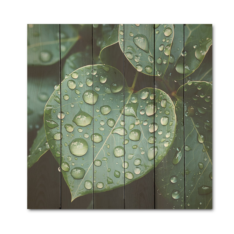«Aqua Leaves Photo Harmony I», art mural en bois sur bois de pin naturel, H 36 po x l 36 po