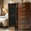 Armoire à bijoux espresso d'inspiration italienne avec doublure noire moelleuse, design transitionnel, finition brune