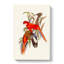 Fiery Parakeets by Elizabeth Gould - Wrapped Canvas Painting-55370882