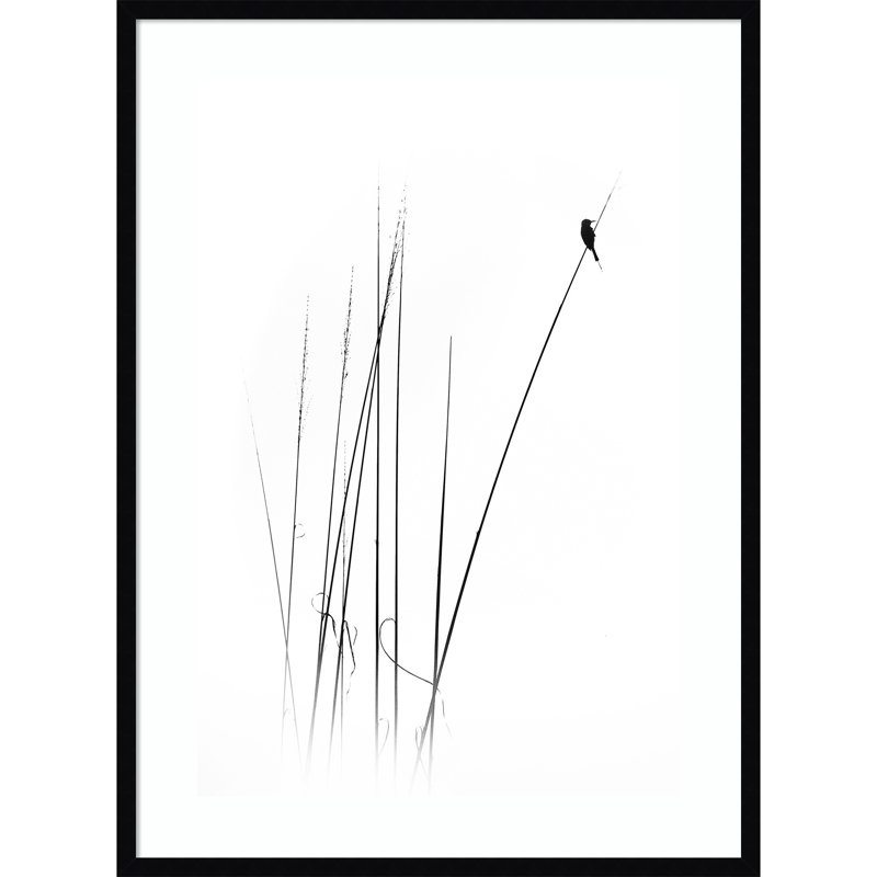 A Sabbatical par Swapnil - Reproduction d'art sur papier encadrée, H 41 po x l 30 po, Noir
