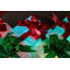 Christmas Decorative Accent