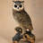 Owl Garden Statue with Branch Base