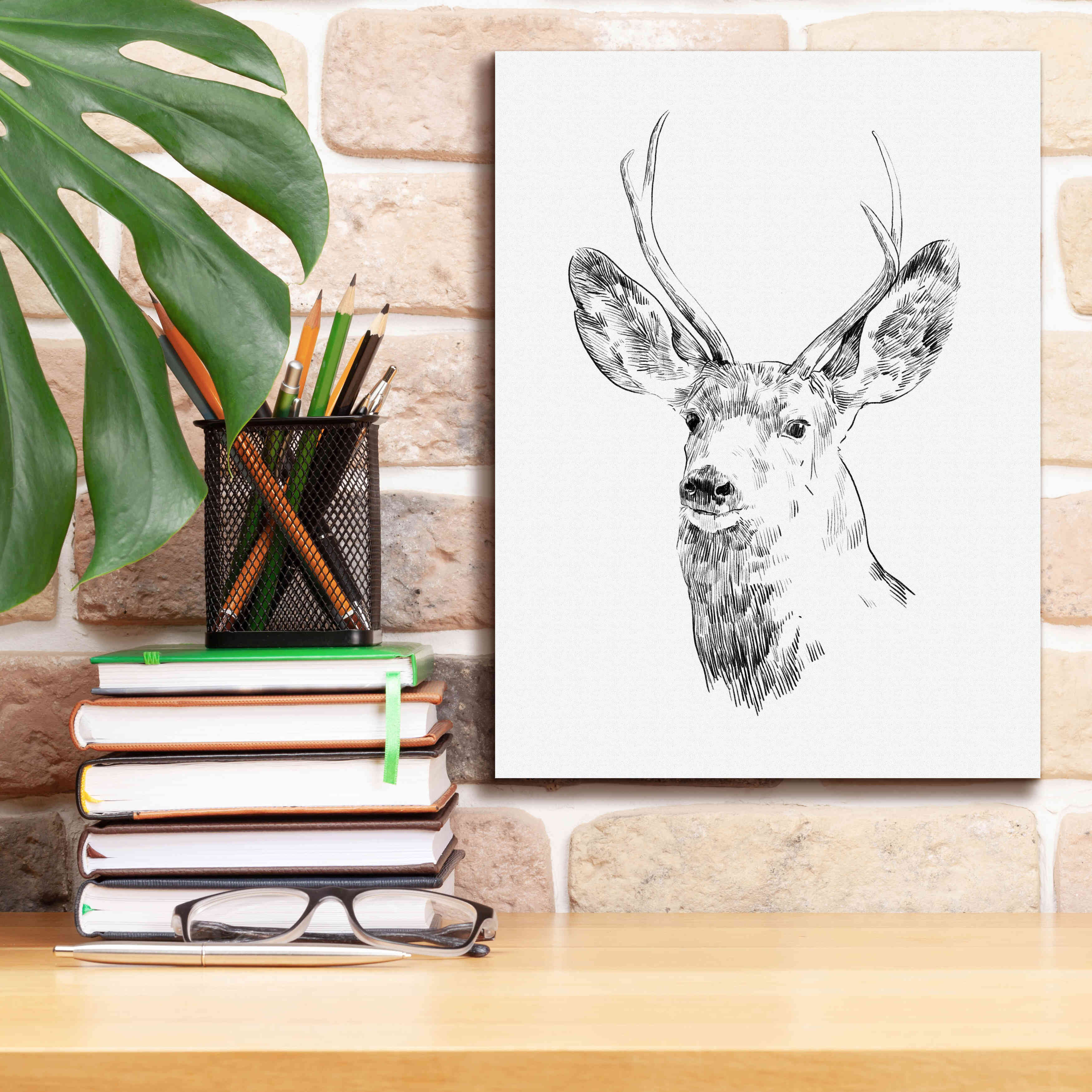 Millwood Pines Epic Graffiti 'Young Buck Sketch IV' By Emma Scarv Young Buck  Sketch IV On Canvas by Emma Scarvey Print