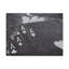 No Frame Print on Canvas-109508742