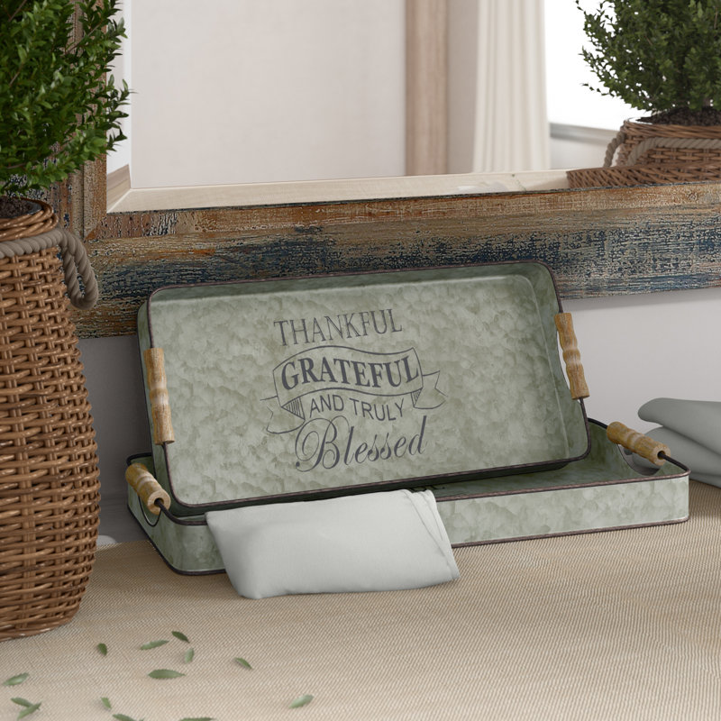 Wensess Metal Tray