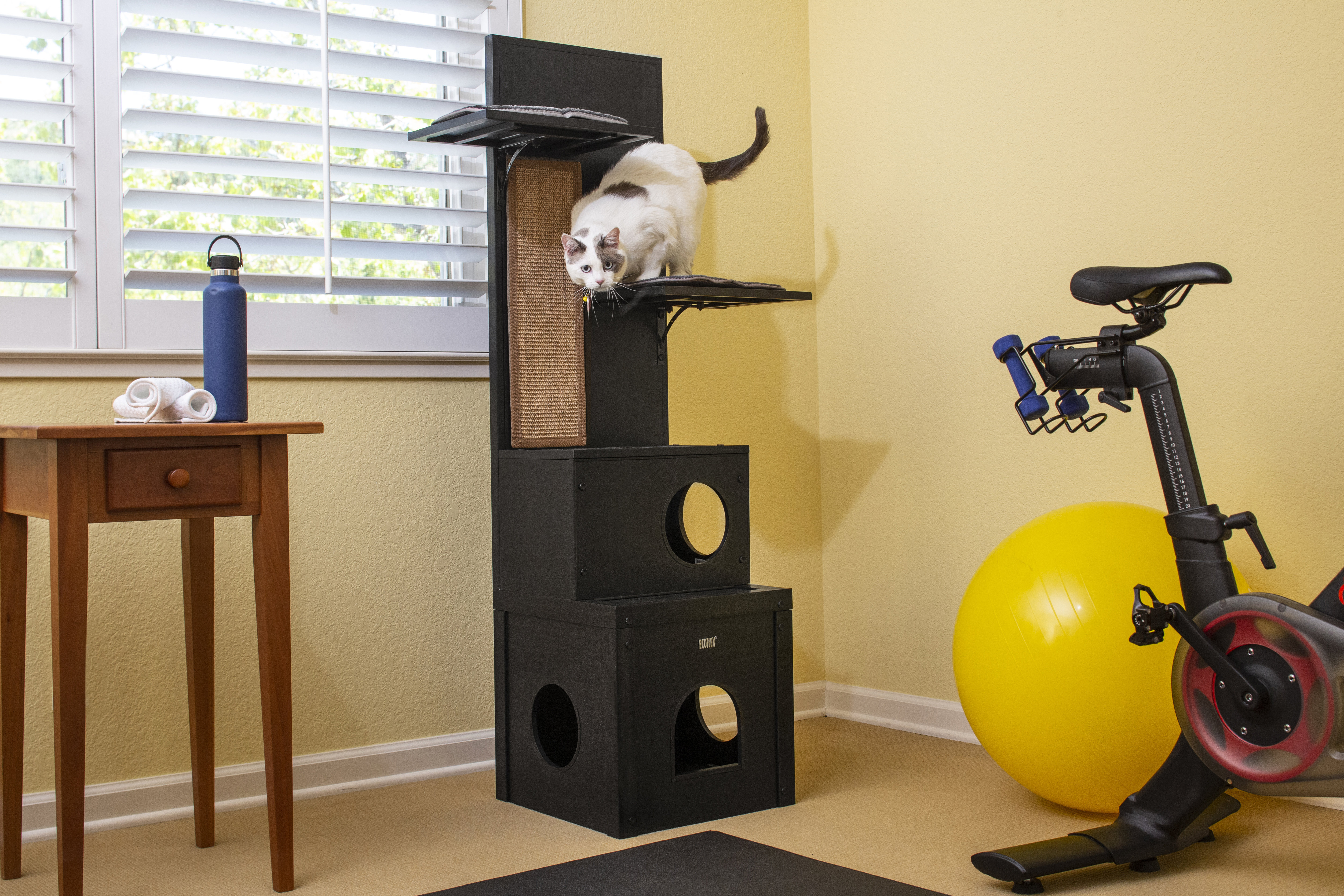 Draco 60 ecoflex sales cat tree