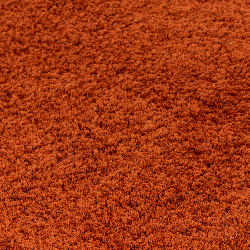 Makayla Solid Colour Shag Area Rug, Rectangle 160 x 230cm