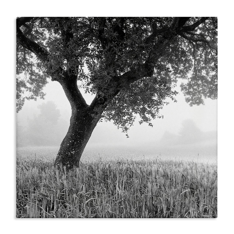 Toile toscane matin par Chip Forelli, H 36 po x l 36 po