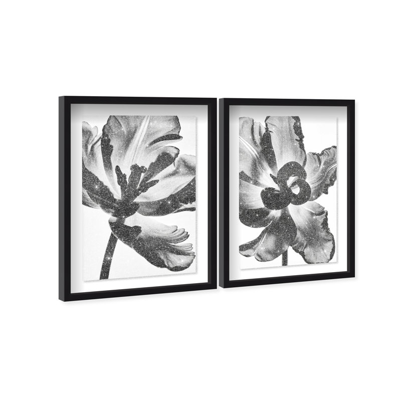 Close Up Set Set by Oliver Gal, 37.5"H x 55.5"W, Black Shadowbox