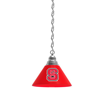 1 - Light Single Pendant