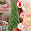 Arbre de Noël élancé de 8 pi pour les entrées d'appartements, 1612 pointes mixtes de PE +, assemblage simple et rapide de petites surfaces étroites, branches en PE +, support stable
