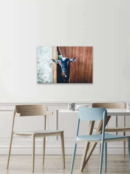 Wrapped Canvas Print, 41cm H x 61cm W