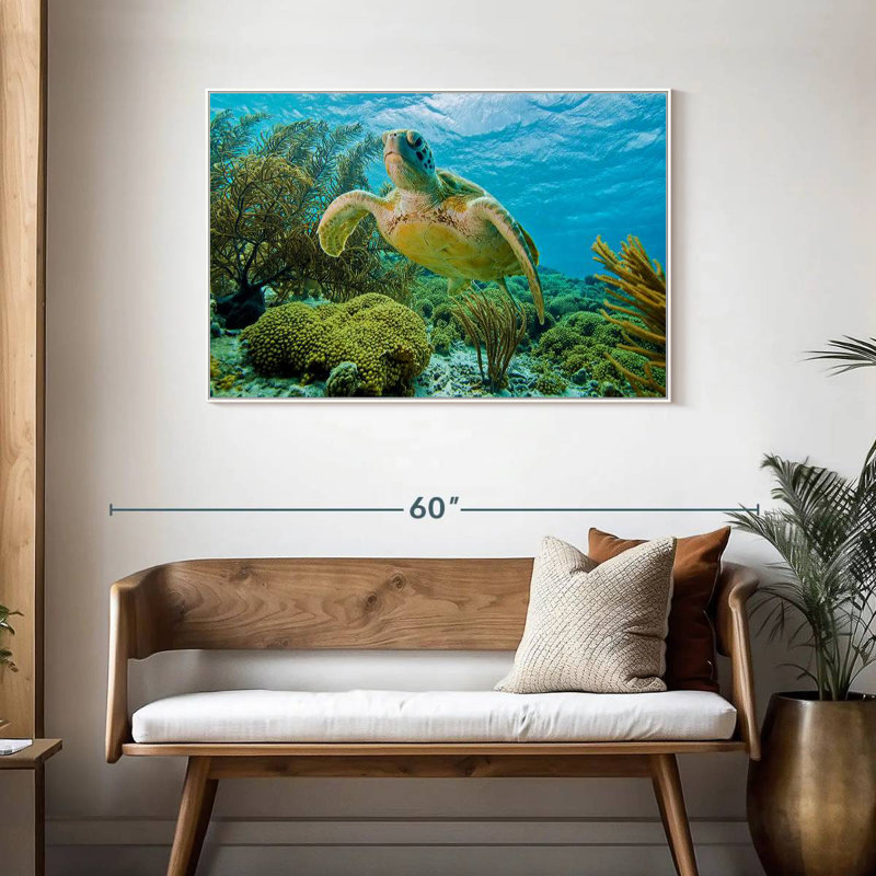 Tortue dans le récif de Bonaire, Cadre flottant blanc, 43 po x 29 po