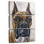 Boxer Brampt Kyleigh-108665202