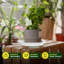 Soucoupes pour plantes robustes en plastique 8 po (paquet de 6)-1146336208-1146336223