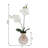 Orchid Arrangement in Vase