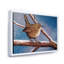 Wren en hiver - Peinture sur toile-59762274-59762275