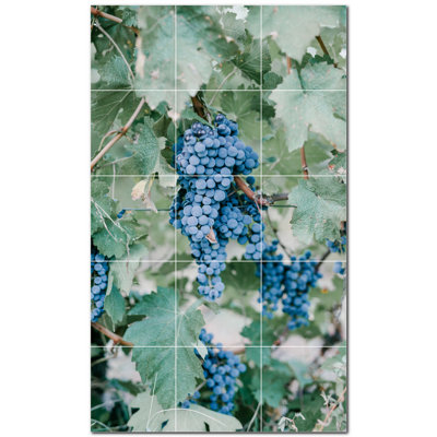 Wine Photo 12'' x 12'' Satin Ceramic Decorative Mural -  Picture-Tiles.com, PT501210-35XL