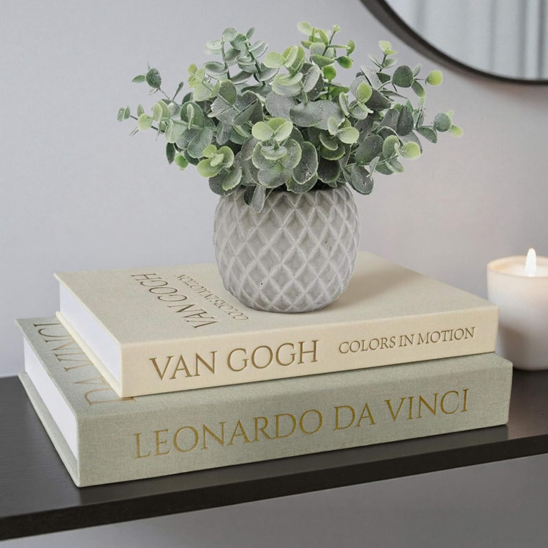 Ensemble de 2 livres de rangement décoratifs, housse en lin